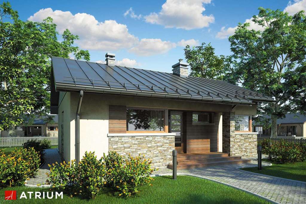 Wizualizacja projektu Dom-B23 - 4