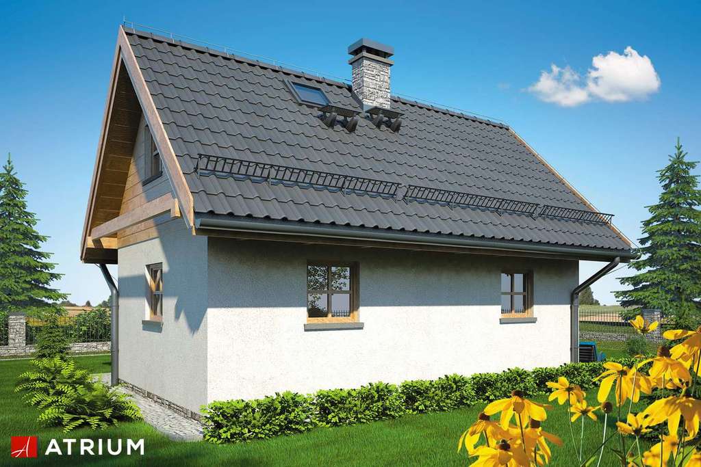 Wizualizacja projektu Dom-B1 - 4