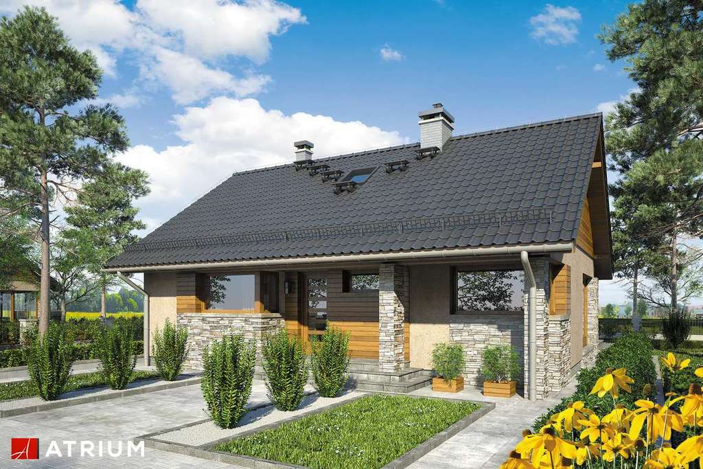 Wizualizacja projektu Dom-B10 - 4