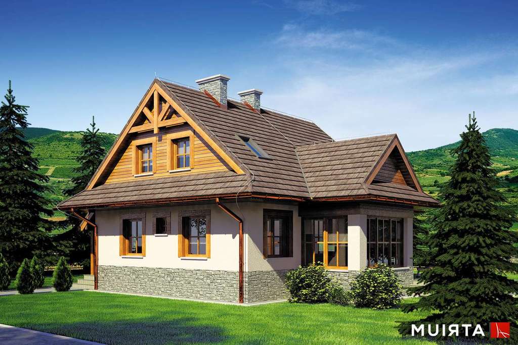 Wizualizacja projektu Dom-B41 - 4