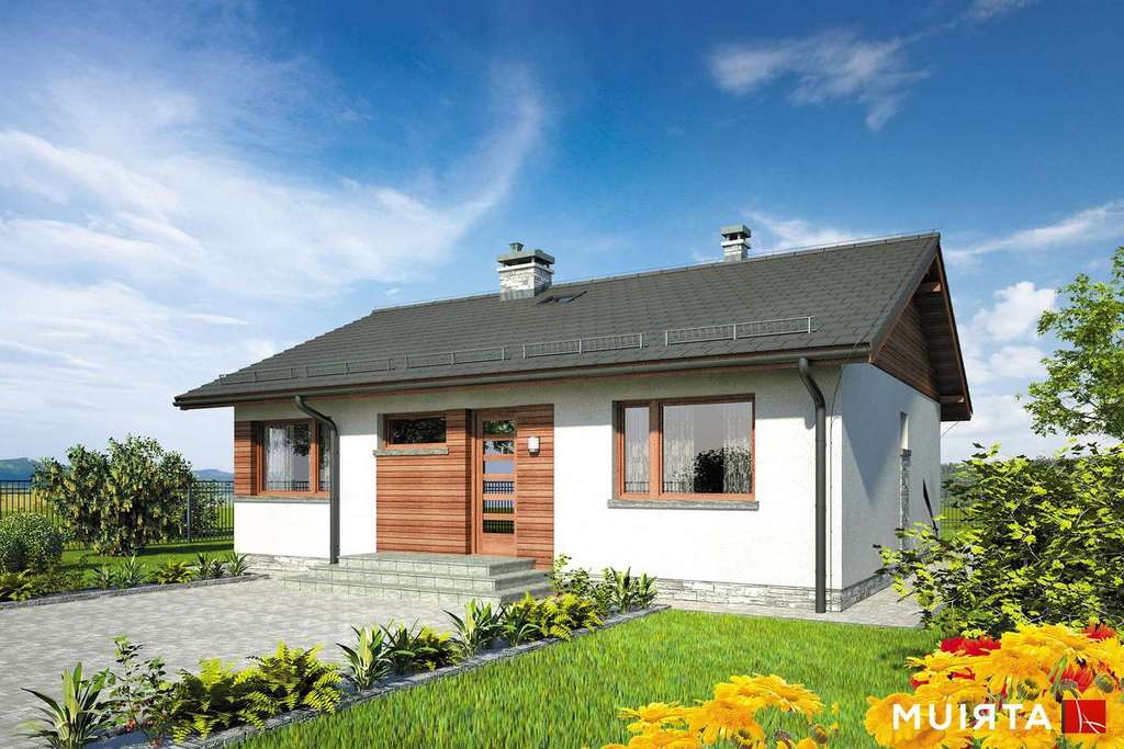 Wizualizacja projektu Dom-B42 - 4