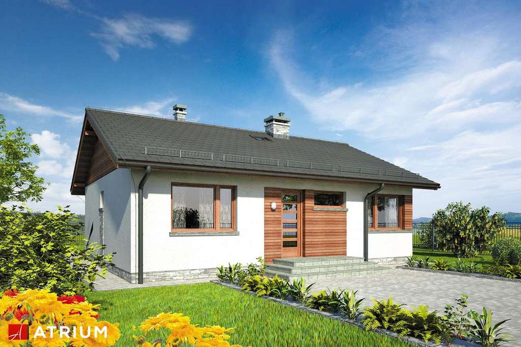 Wizualizacja projektu Dom-B42 - 4